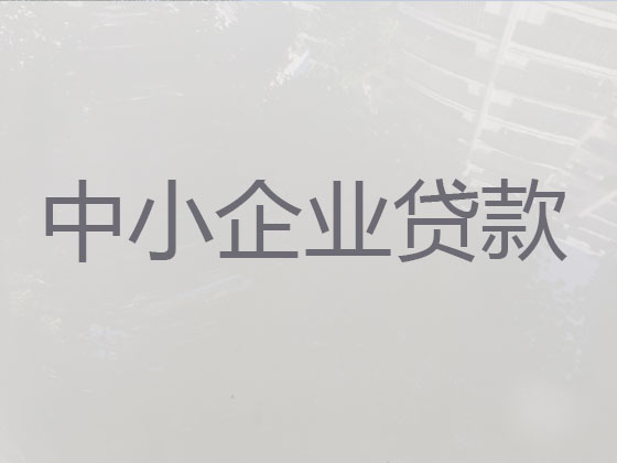 平顶山小微企业信用贷款